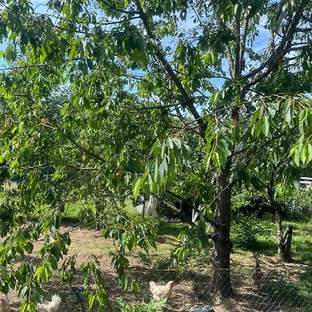 Monteurzimmer Oder Wg Zimmervermietung In Traumhafter Lage Homestay Laufenburg