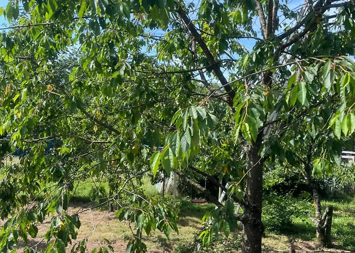 Monteurzimmer Oder Wg Zimmervermietung In Traumhafter Lage Homestay Laufenburg